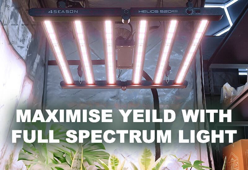 Master Your Indoor Garden Today